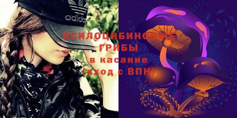 Псилоцибиновые грибы Magic Shrooms  Нижнекамск 