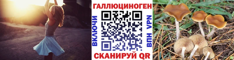 Галлюциногенные грибы ЛСД  Нижнекамск 