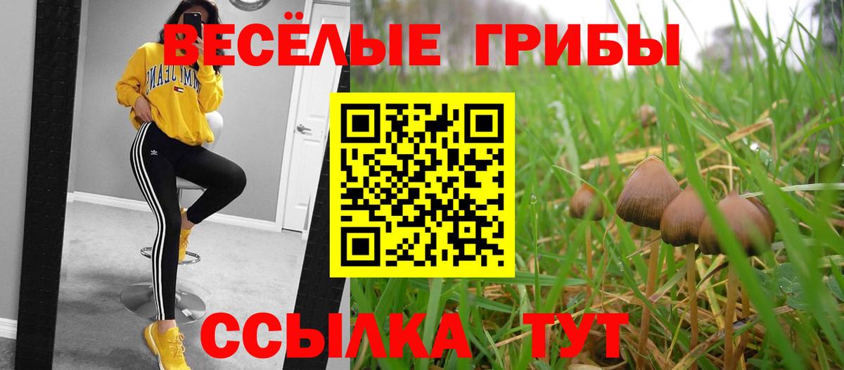 Нижнекамск  Галлюциногенные грибы Psilocybe  Вход с VPN 