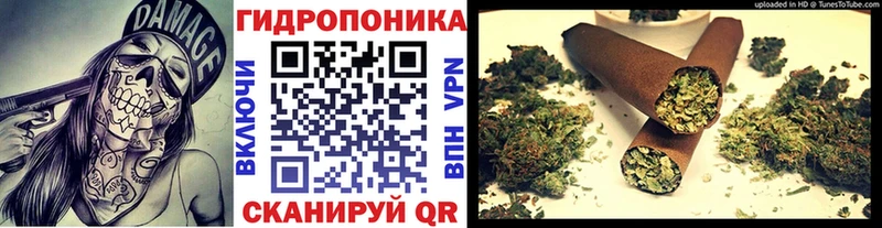 Каннабис марихуана  ОМГ ОМГ ТОР  Нижнекамск 